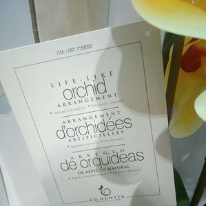 Meet your Posher, Magui